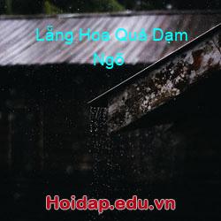Lẵng hoa quả dạm ngõ