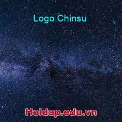 Logo chinsu