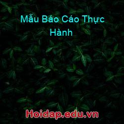 Mẫu báo cáo thực hành