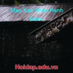 Mau xac nhan hanh kiem