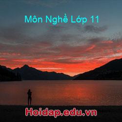 Môn nghề lớp 11