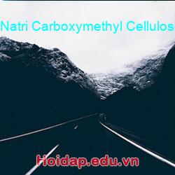 Natri carboxymethyl cellulose