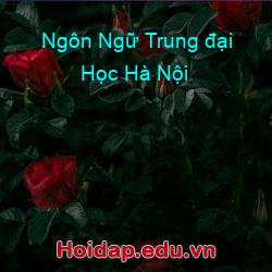 Ngôn ngữ trung đại học hà nội
