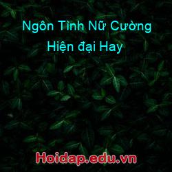 Ngôn tình nữ cường hiện đại hay