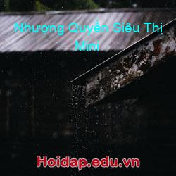 Nhượng quyền siêu thị mini