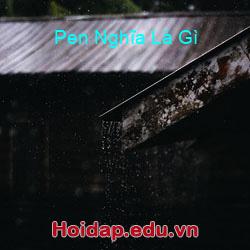 Pen nghĩa là gì