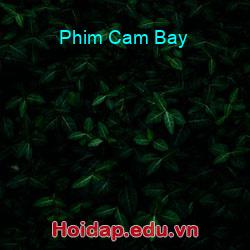 Phim cam bay