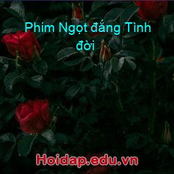 Phim ngọt đắng tình đời