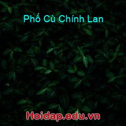 Phố cù chính lan