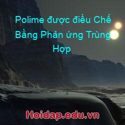 Polime được điều chế bằng phản ứng trùng hợp