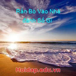 Rắn bò vào nhà đánh số gì