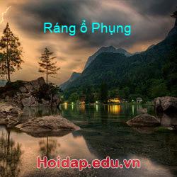 Ráng ổ phụng