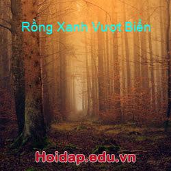 Rồng xanh vượt biển