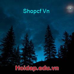 Shopcf vn