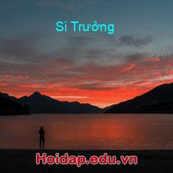 Si trưởng