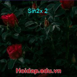 Sin2x 2