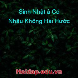 Sinh nhật á có nhậu không hài hước