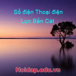 Số điện thoại điện lực bến cát