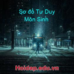 Sơ đồ tư duy môn sinh