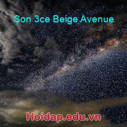 Son 3ce beige avenue