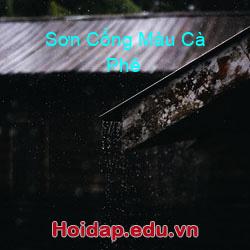 Sơn cổng màu cà phê