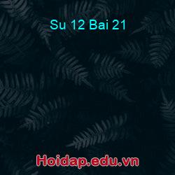 Su 12 bai 21