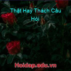 Thật hay thách câu hỏi