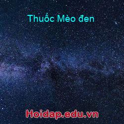 Thuốc mèo đen