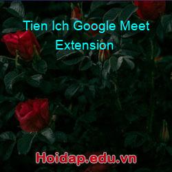Tien ich google meet extension