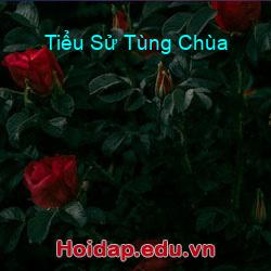 Tiểu sử tùng chùa