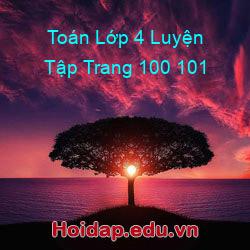 Toán lớp 4 luyện tập trang 100 101