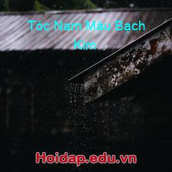 Tóc nam màu bạch kim