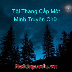 Tôi thăng cấp một mình truyện chữ