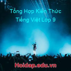 Tổng hợp kiến thức tiếng việt lớp 9
