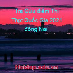 Tra cứu điểm thi thpt quốc gia 2021 đồng nai