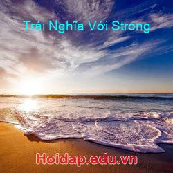Trái nghĩa với strong
