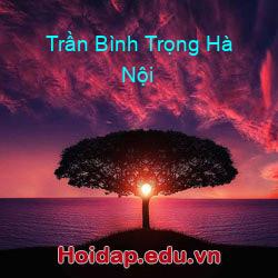 Trần bình trọng hà nội