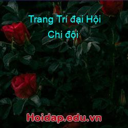 Trang trí đại hội chi đội
