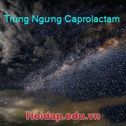 Trùng ngưng caprolactam