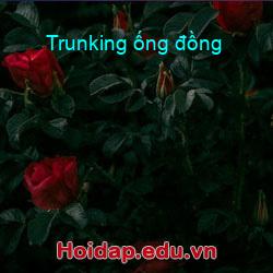 Trunking ống đồng