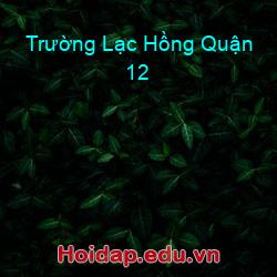 Trường lạc hồng quận 12
