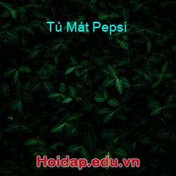 Tủ mát pepsi