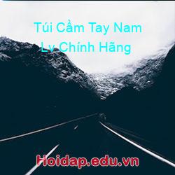 Túi cầm tay nam lv chính hãng