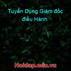 Tuyển dụng giám đốc điều hành