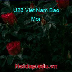 U23 viet nam bao moi