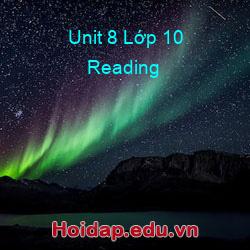 Unit 8 lớp 10 reading