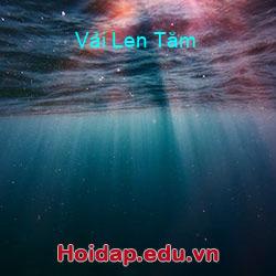 Vải len tăm