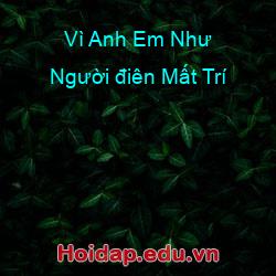 Vì anh em như người điên mất trí