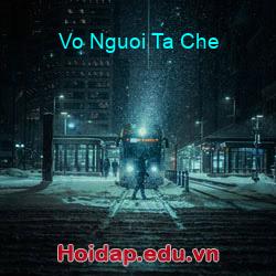 Vo nguoi ta che