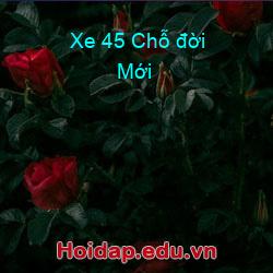 Xe 45 chỗ đời mới